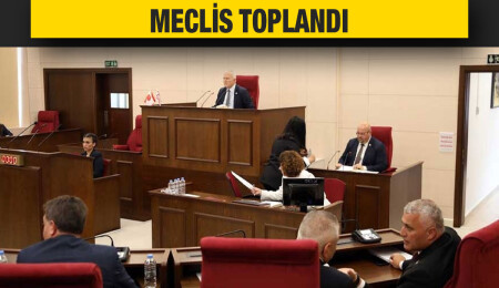 Meclis Genel Kurulu denetim gündemiyle toplandı